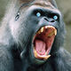 Illustration for article titled ATT Decides to Play Nice, Takes the Teeth Out of Termination Tariffs
